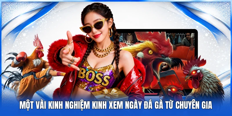 Một vài kinh nghiệm kinh xem ngày đá gà từ chuyên gia