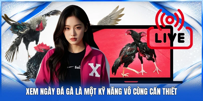 Xem ngày đá gà là một kỹ năng vô cùng cần thiết